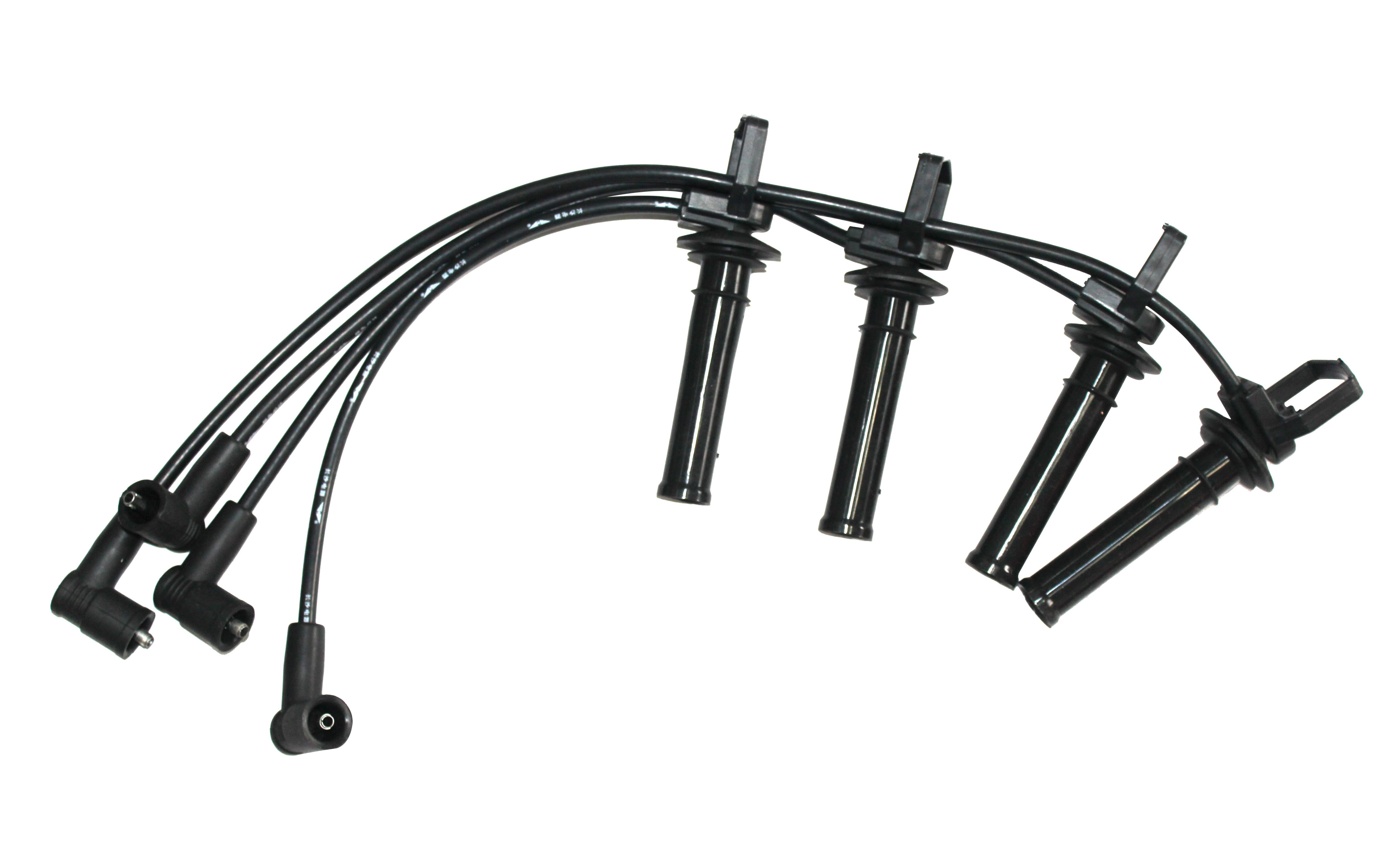 CD004 青年莲花 CD004 青年莲花